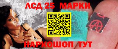 прущие грибы Краснодар