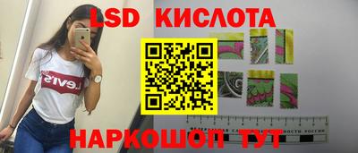 прущие грибы Краснодар