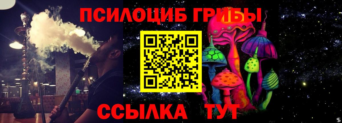 Галлюциногенные грибы Psilocybe Кольчугино
