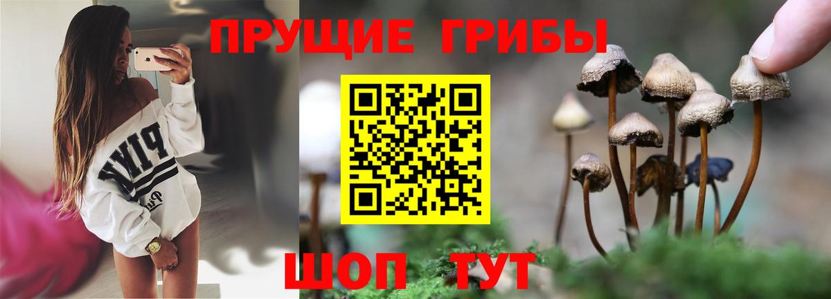 Псилоцибиновые грибы мухоморы  Вход с VPN  Кольчугино 